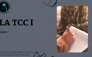 Formation TCCI